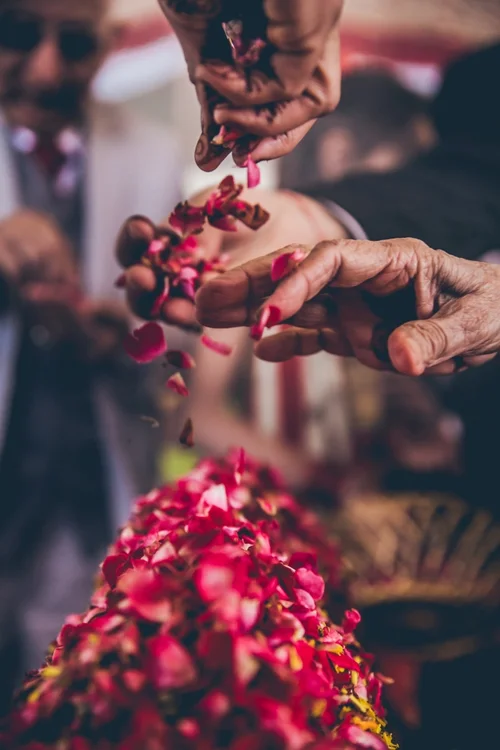 Pashmeena+&+Amol+-+01108